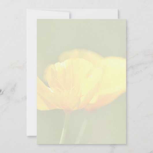 Carte Poppies orange (Dos)