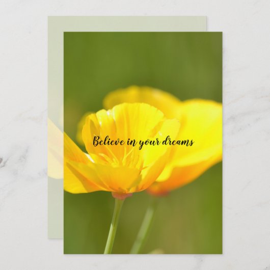 Carte Poppies orange (Devant / Derrière)