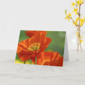 Carte Poppies rouges (Fleur jaune)