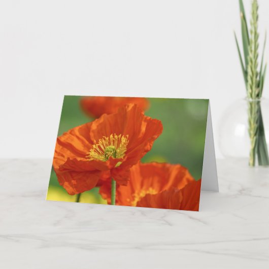 Carte Poppies rouges (Devant)