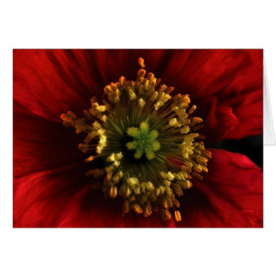 Carte Poppy