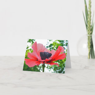 Carte Poppy blank notecard