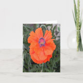 Carte Poppy chinois... (Devant)