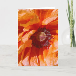 Carte Poppy orange