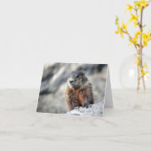 Carte Porc moulu (Fleur jaune)