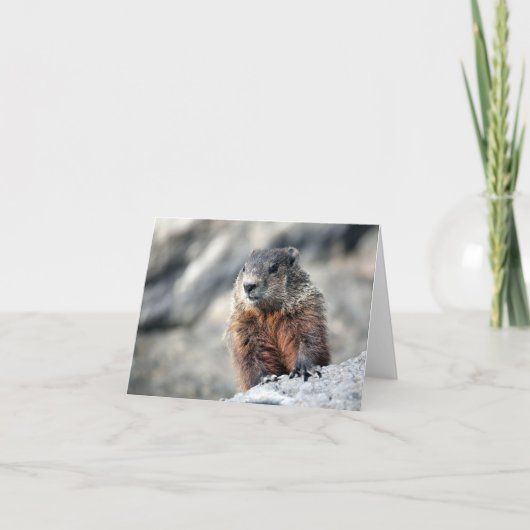 Carte Porc moulu (Devant)