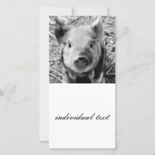Carte porcelet doux, noir blanc