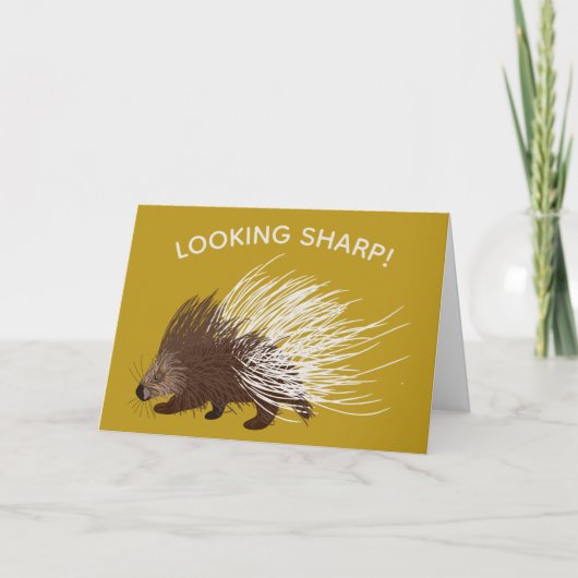Carte Porcupine Brown et moutarde (Devant)