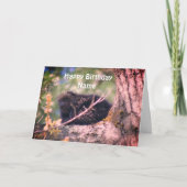Carte Porcupine Faune Anniversaire Personnalisé (Devant)