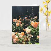 Carte Portland Rose Garden (Fleur jaune)