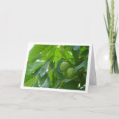 Carte Portrait Arbre à Noix (Devant)