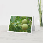 Carte Portrait Arbre à Noix (Devant)