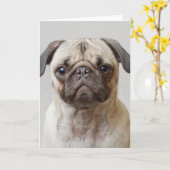 Carte Portrait Carlin (Fleur jaune)