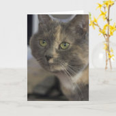 Carte Portrait Cat (Fleur jaune)