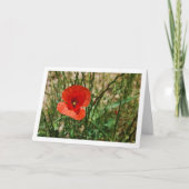 Carte Portrait Coquelicot Rouge (Devant)