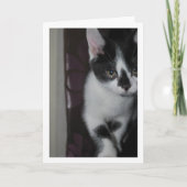 Carte Portrait Cute Kitten (Devant)