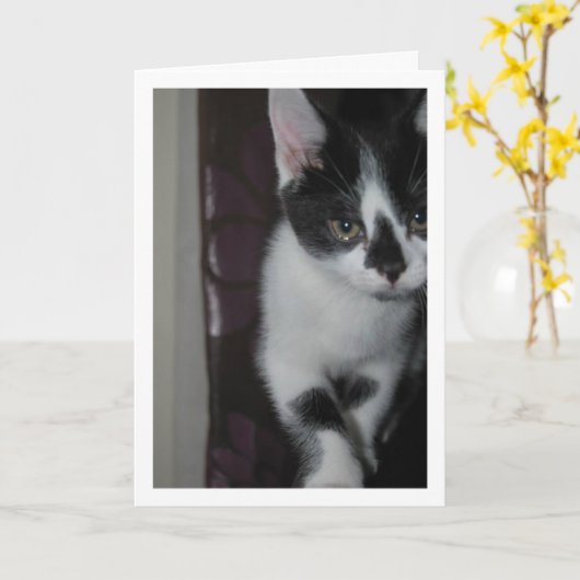 Carte Portrait Cute Kitten (Fleur jaune)