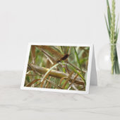 Carte Portrait Damselfly (Devant)