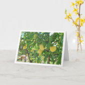 Carte Portrait d'arbre à prune jaune (Fleur jaune)