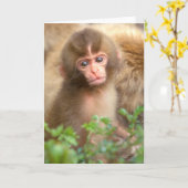 Carte Portrait de bébé du singe des neiges (Fleur jaune)