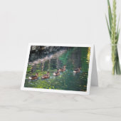 Carte Portrait de canard colvert sur l'eau avec reflet (Devant)