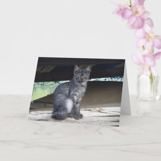 Carte Portrait de chat communautaire (Orchidée)