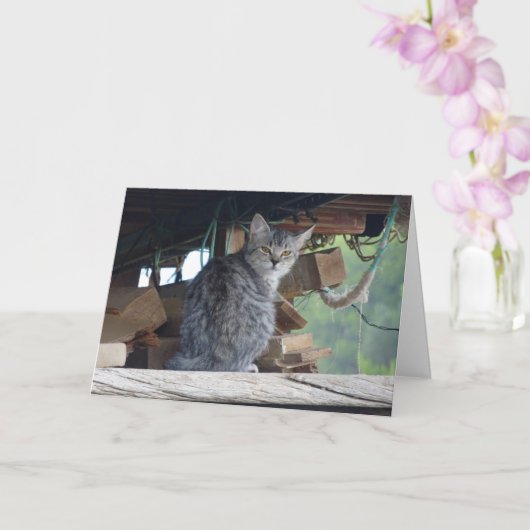 Carte Portrait de chat communautaire (Orchidée)