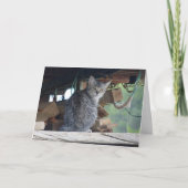 Carte Portrait de chat communautaire (Devant)
