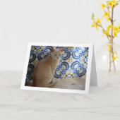 Carte Portrait de chat Ginger (Fleur jaune)