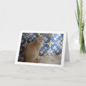Carte Portrait de chat Ginger (Devant)