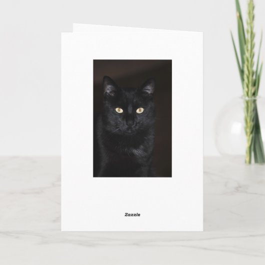 Carte Portrait de chat noir (Dos)