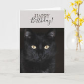 Carte Portrait de chat noir (Fleur jaune)