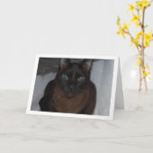 Carte Portrait de chat noir (Fleur jaune)