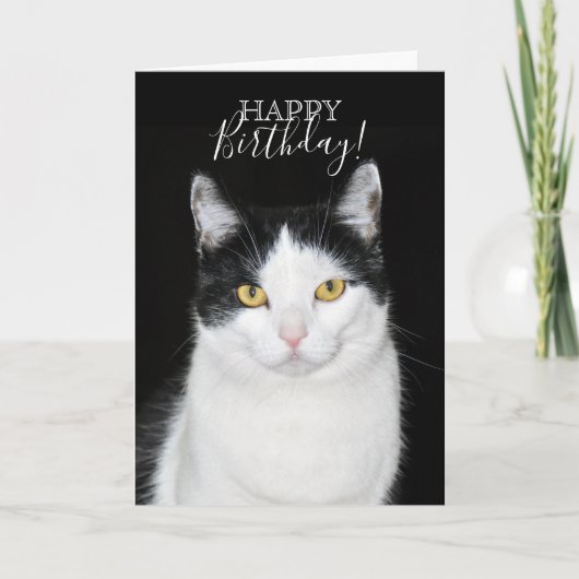 Carte Portrait de chat noir et blanc (Devant)