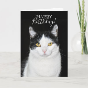 Carte Portrait de chat noir et blanc