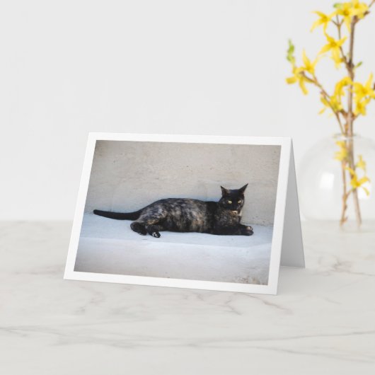 Carte Portrait de chat Tortoiseshell (Fleur jaune)