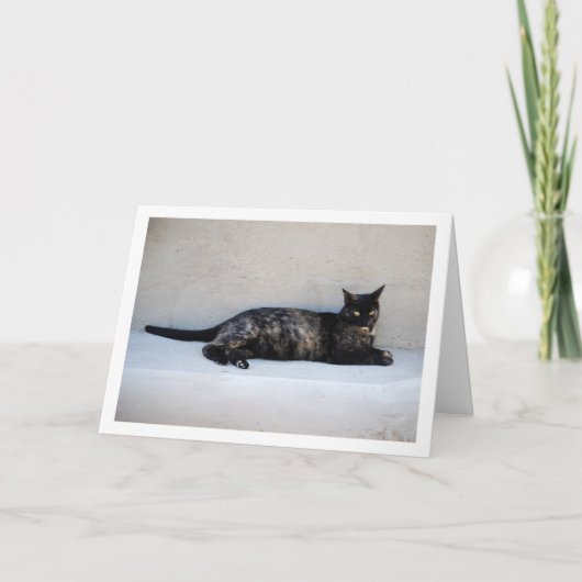 Carte Portrait de chat Tortoiseshell (Devant)