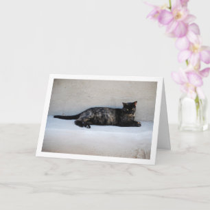 Carte Portrait de chat Tortoiseshell