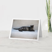 Carte Portrait de chat Tortoiseshell (Devant)