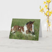 Carte - Portrait de cheval (Fleur jaune)