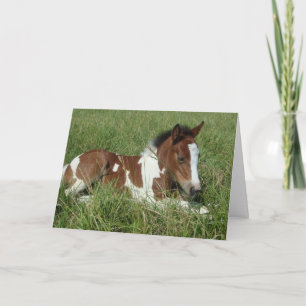 Carte - Portrait de cheval
