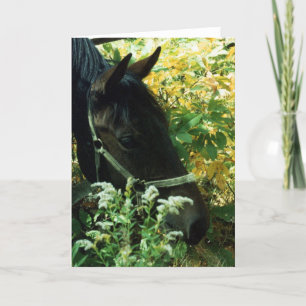 Carte Portrait de cheval