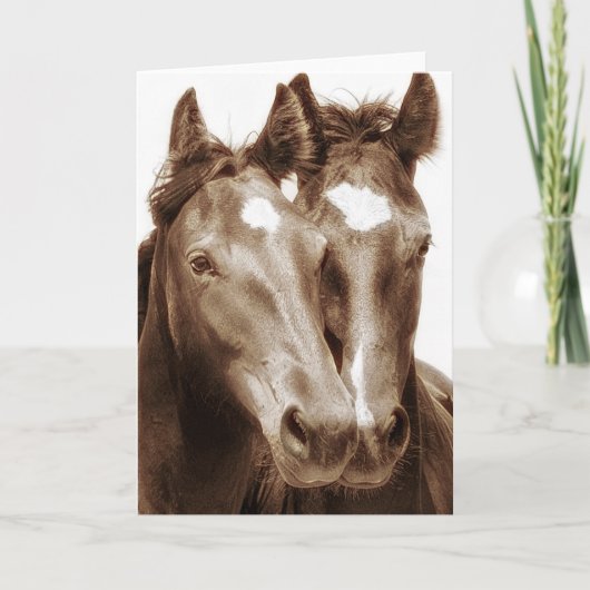 Carte Portrait de cheval III (Devant)
