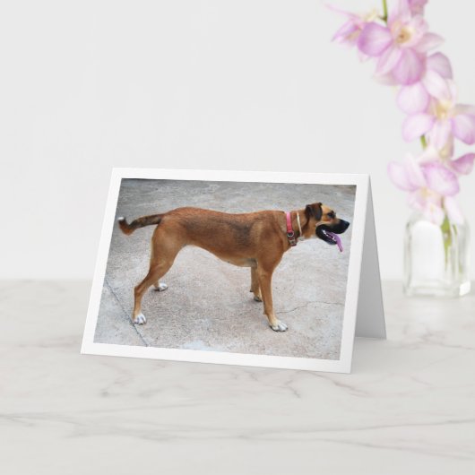 Carte Portrait de chien (Orchidée)