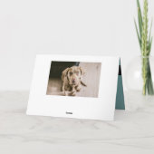 Carte Portrait de chien (Dos)