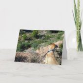 Carte Portrait de chien à fourrure noire (Devant)