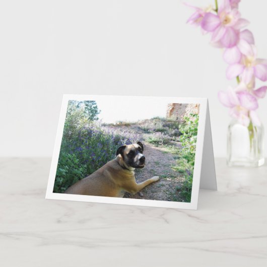 Carte Portrait de chien couché dans des fleurs sauvages (Orchidée)