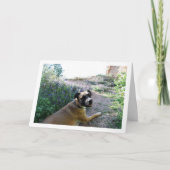 Carte Portrait de chien couché dans des fleurs sauvages (Devant)