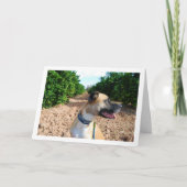Carte Portrait de chien dans un verger (Devant)