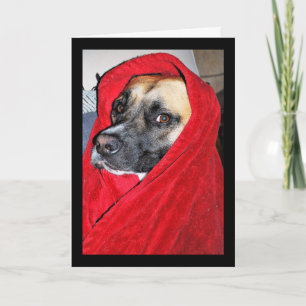 Carte Portrait de chien dans une couverture rouge